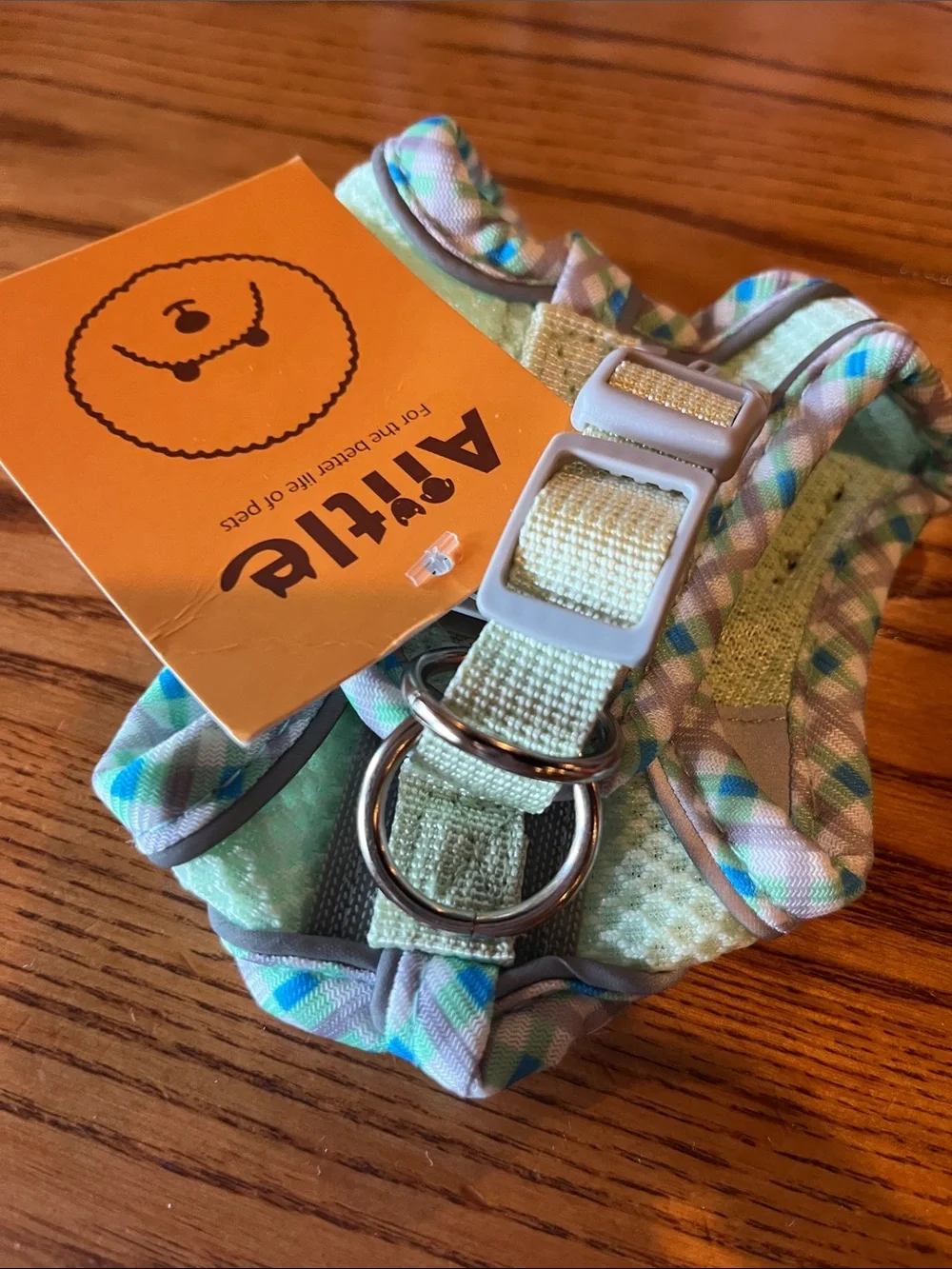 Airtle Pastel Mint Dog Harness with Matching Leash